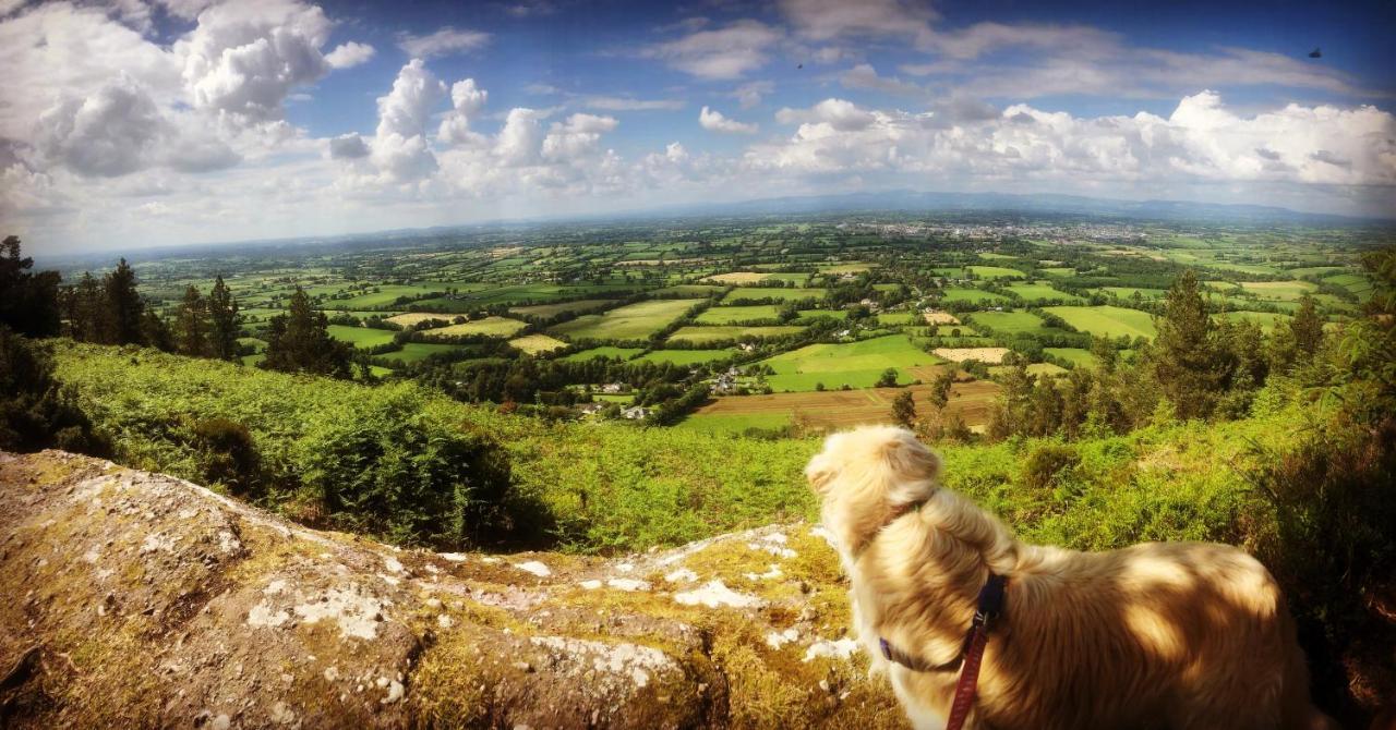 Ballyglass Country House Tipperary Exteriér fotografie
